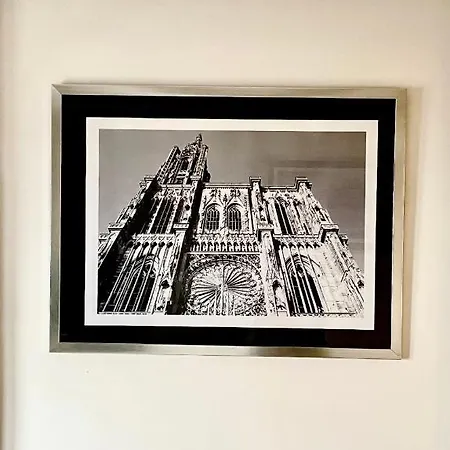 Magnifique Centre Petite France Strasbourg