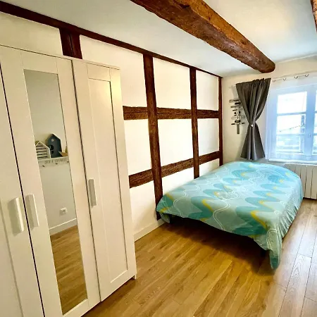Magnifique Centre Petite France Apartment