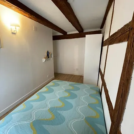 Magnifique Centre Petite France * Strasbourg