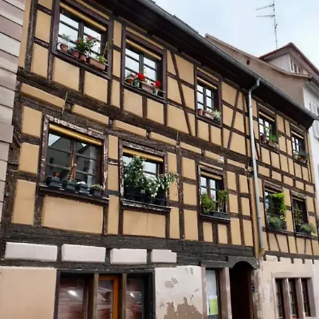 Magnifique Centre Petite France Lägenhet Strasbourg