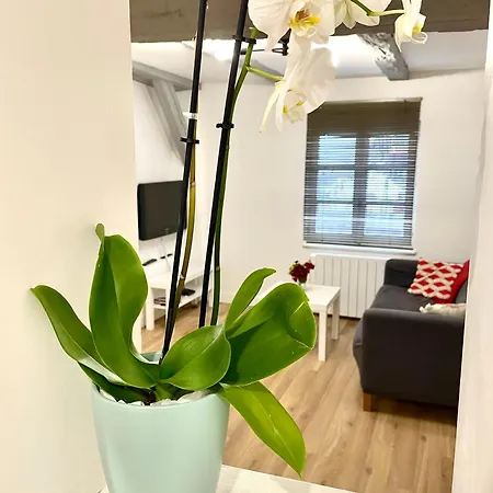 Apartment Magnifique Centre Petite France