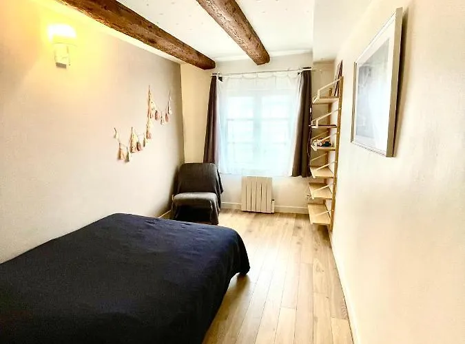 Magnifique Centre Petite France Διαμέρισμα *