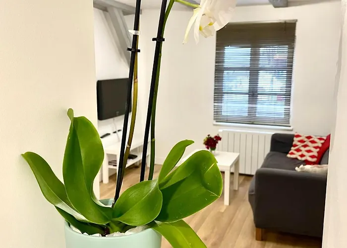 Apartamento Magnifique Centre Petite France