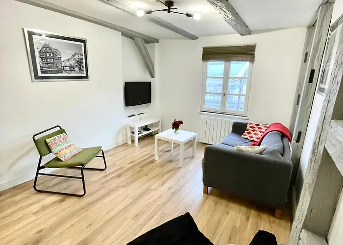 Magnifique Centre Petite France Estrasburgo