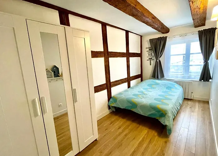 Magnifique Centre Petite France Apartmán